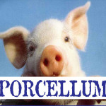 Il_porcellum2