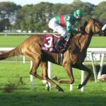 Ippica Trofeo sociale befana circuito Kappa