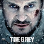 The grey