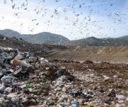 Discarica di Malagrotta