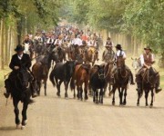 Fattorie Faggioli - TURISMO EQUESTRE E PRODOTTI TIPICI PER L'ECONOMIA RURALE