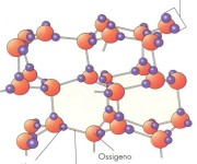 Molecole Acqua