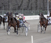 TROTTO IPPODROMO ARCOVEGGIO Bologna