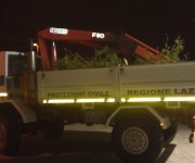 Tarquinia, la Protezione Civile rimuove una quercia caduta su via Aurelia Vecchia‏