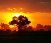 Conto alla rovescia per - Suoni per l’Africa - Concerto di Natale
