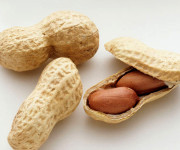 Mangiare noccioline in gravidanza