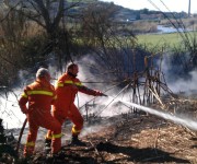 Tarquinia, Vigili del Fuoco di Viterbo e gruppo comunale della ProCiv spengono un incendio sull’Aurelia‏