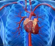 patologie cardiocircolatorie e respiratorie