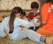 Al via la seconda edizione di Agriturismoinfiera
