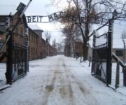 Auschwitz - Giornata Memoria - 27 gennaio, il mondo ricorda l'Olocausto