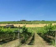 VINI DELL'EMILIA ROMAGNA