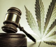 Legalizzare la cannabis in Italia