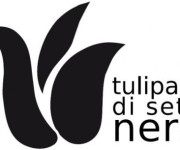 Tulipani di Seta Nera – Un Sorriso Diverso