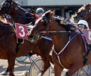 IPPODROMO-PALIO DELLE PROVICIE-ARRIVO-VINCE MONTEVGLIO