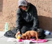 Roma ACCATTONAGGIO