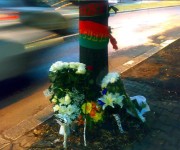 pirata della strada - fiori