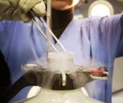 Scandalo all'ospedale Pertini - Roma - scambiati gli embrioni