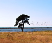 Riserva delle Saline di Tarquinia