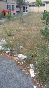 13925217_1843523929215017_6708540586521151972_n