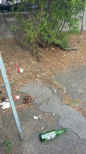 13934673_1843524029215007_6130833584027188137_n