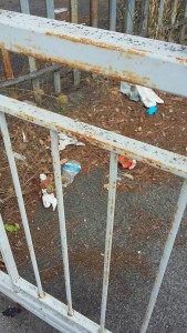 14095916_1843523989215011_2396799093857090922_n