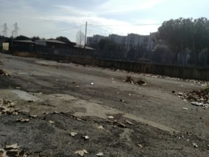 IMG-20170217-WA0049