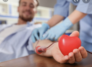 1E4E5692-CD68-4AFA-9D3E-38CE6CEF2F6A