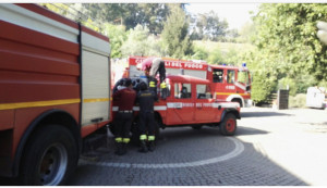 ED76678F-B4D6-4C36-B37F-6465361FD138