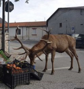 2707BD0D-1C31-4783-A9E9-E2708113ED09