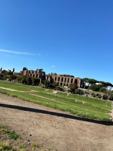 1C8C1CA9-2B2A-48B7-AD1A-C88C0C5B0BDC