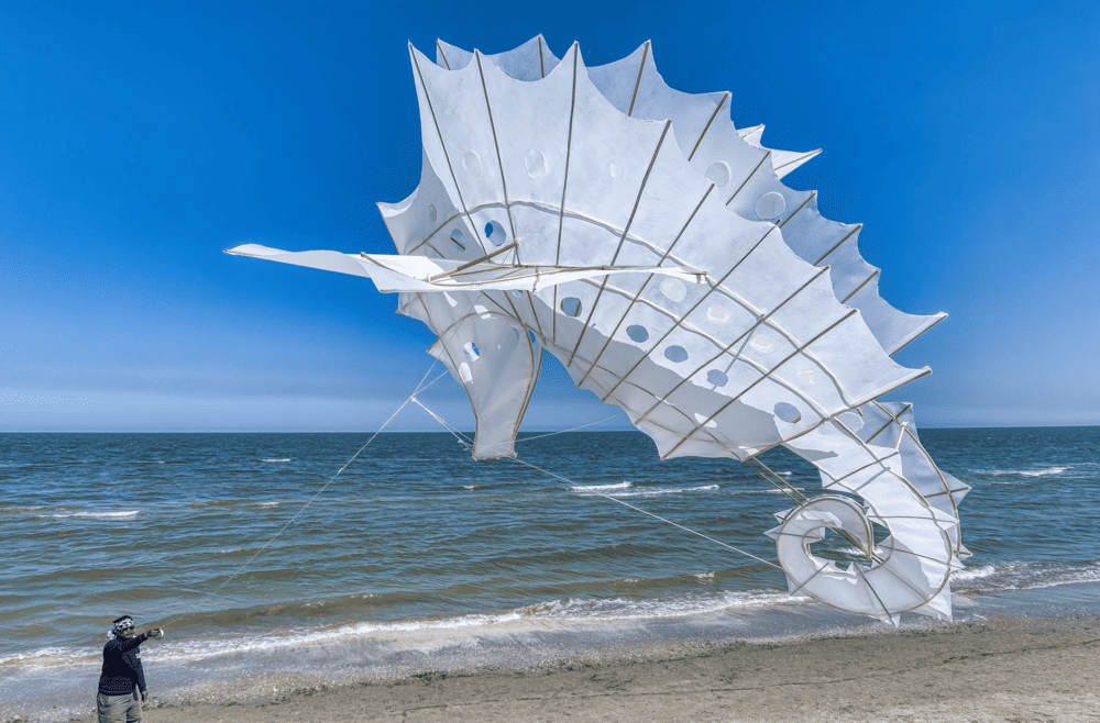 artevento 46 edizione