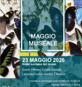 Il Polo Museale – Sapienza Cultura