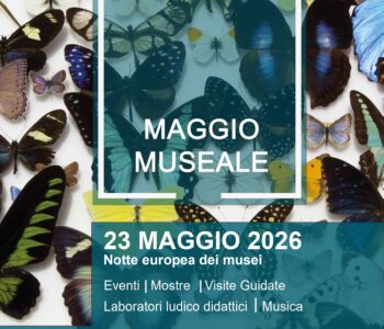 Il POLO MUSEALE – SAPIENZA CULTURA presenta il programma di MAGGIO MUSEALE e Notte Europea dei Musei 2026