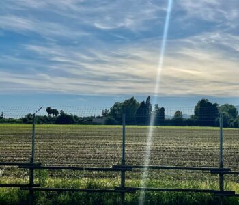 CAMPANIA, L’AGRICOLTURA CAMBIA VOLTO: ECCO IL REPORT CONFEURO